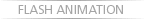 Flash Animation